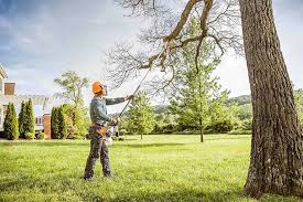 Best Grass Overseeding  in Compton, CA