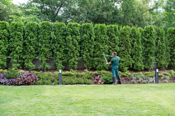 Best Lawn Irrigation Installation and Maintenance  in Compton, CA
