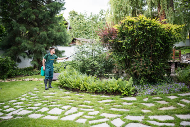 Best Tree Preservation Services  in Compton, CA