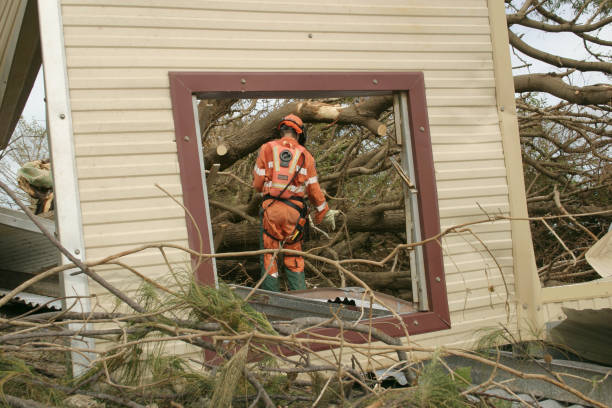  Compton, CA Tree Services Pros